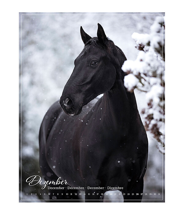 Pony Calendar 2026