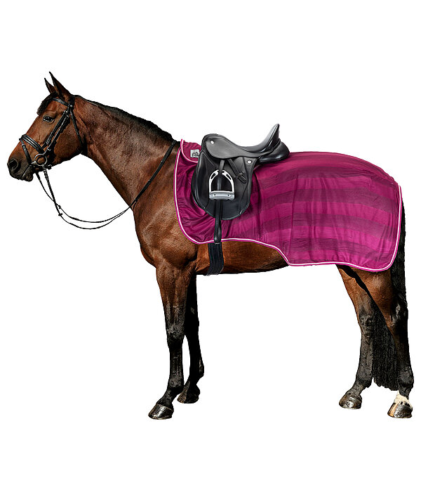 Fly Exercise Rug Economy Light