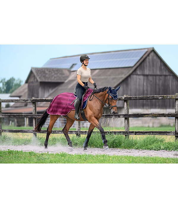 Fly Exercise Rug Economy Light