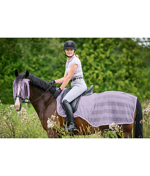 Fly Exercise Rug Economy Light