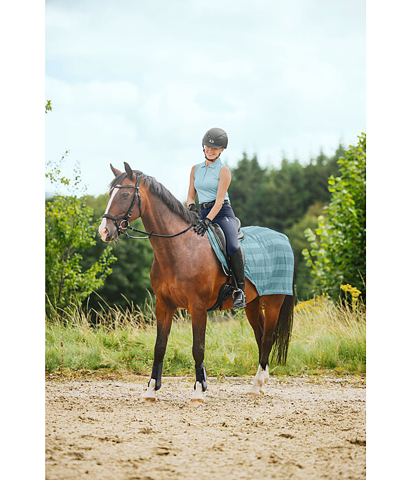 Fly Exercise Rug Economy Light