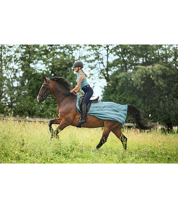 Fly Exercise Rug Economy Light