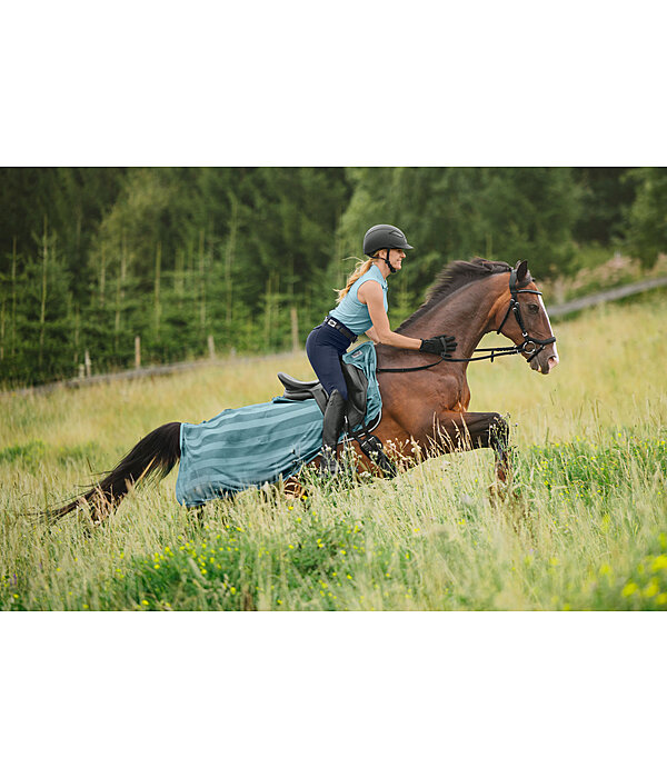 Fly Exercise Rug Economy Light