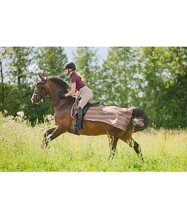 Fly Exercise Rug Economy Light