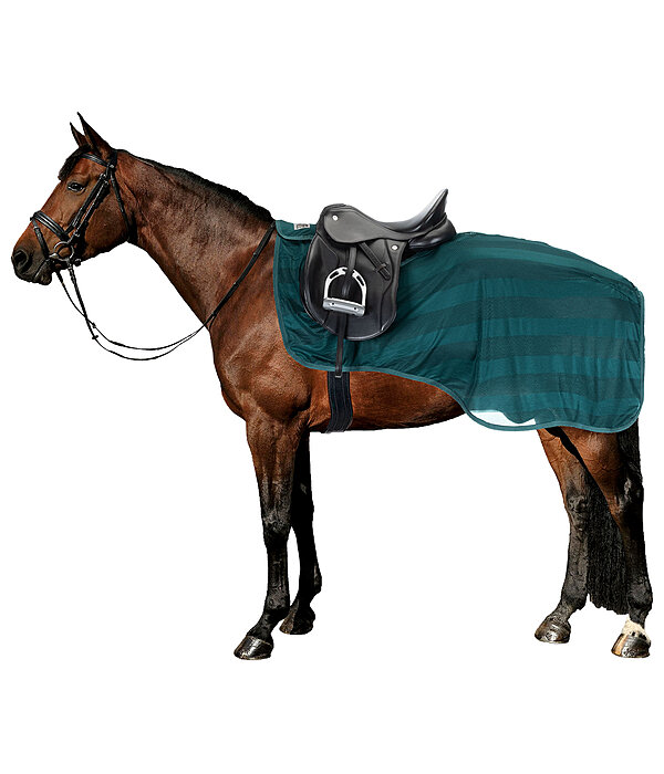 Fly Exercise Rug Economy Light