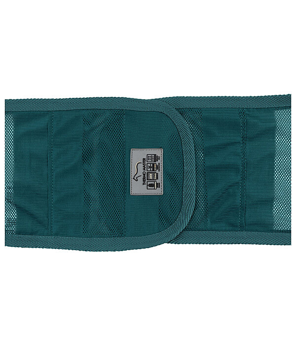 Fly Exercise Rug Economy Light