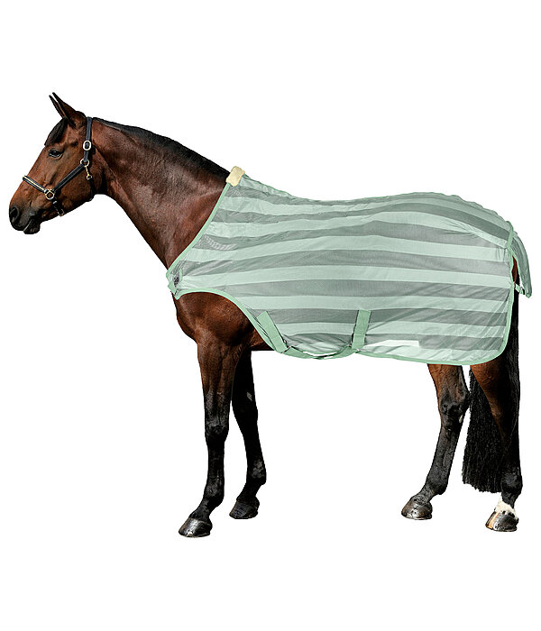 Fly Walker Economy Light