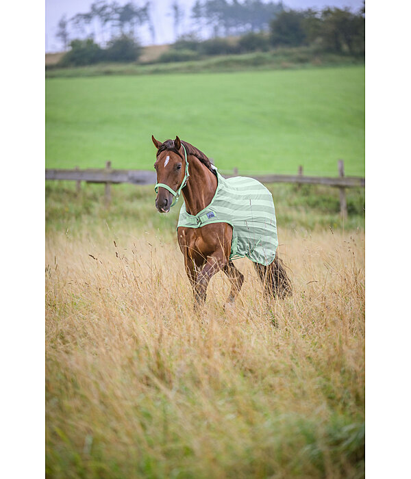 Fly Walker Economy Light