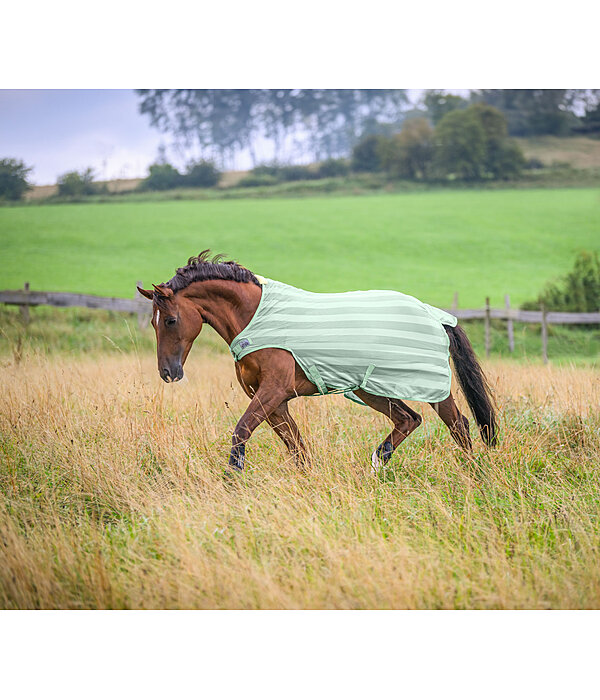 Fly Walker Economy Light