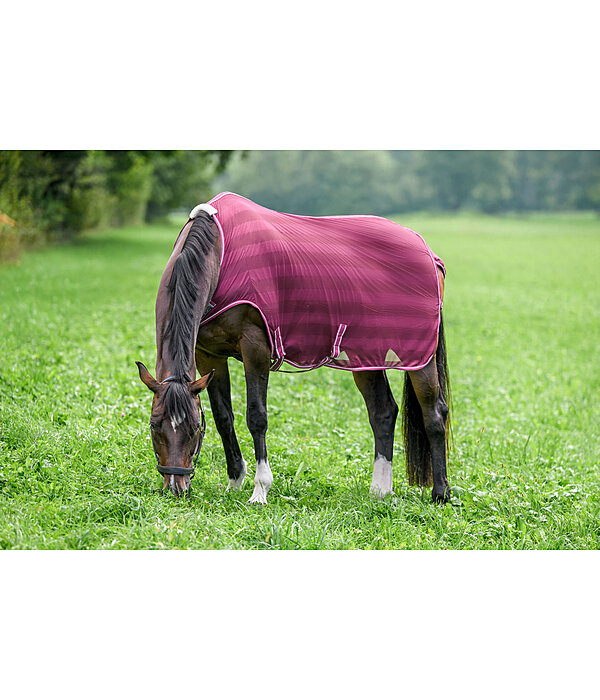 Fly Walker Economy Light