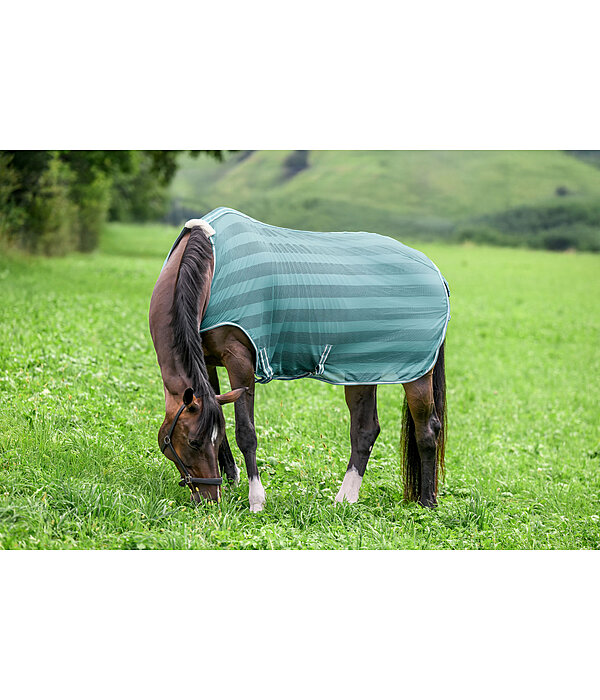 Fly Walker Economy Light