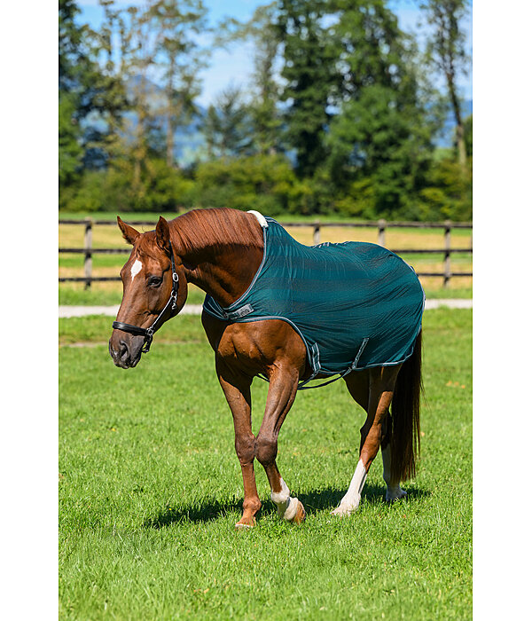 Fly Walker Economy Light