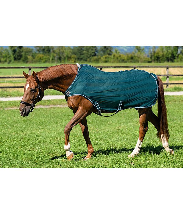 Fly Walker Economy Light