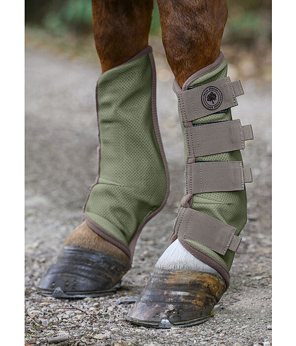 rPet Fly Boots Life Cycle