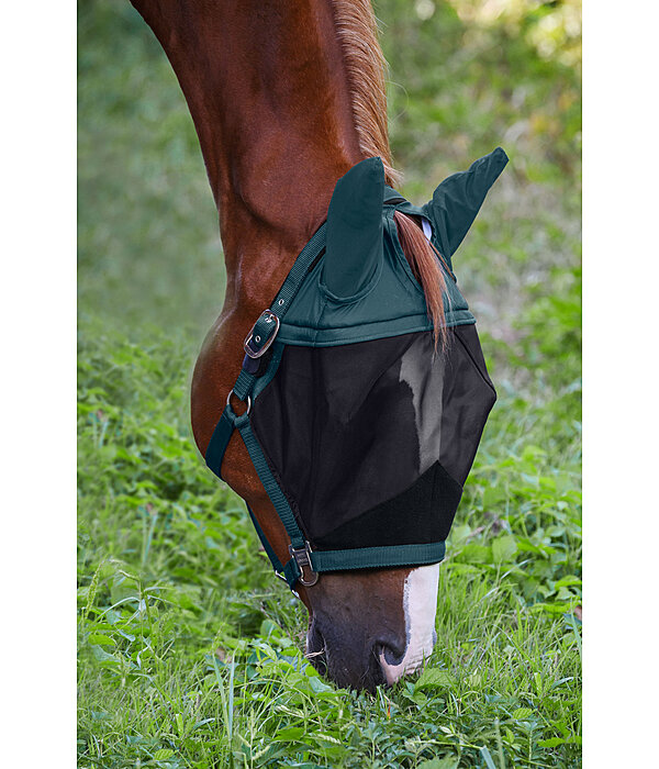 Fly Protection Headcollar with Integrated Fly Mask All-In-One