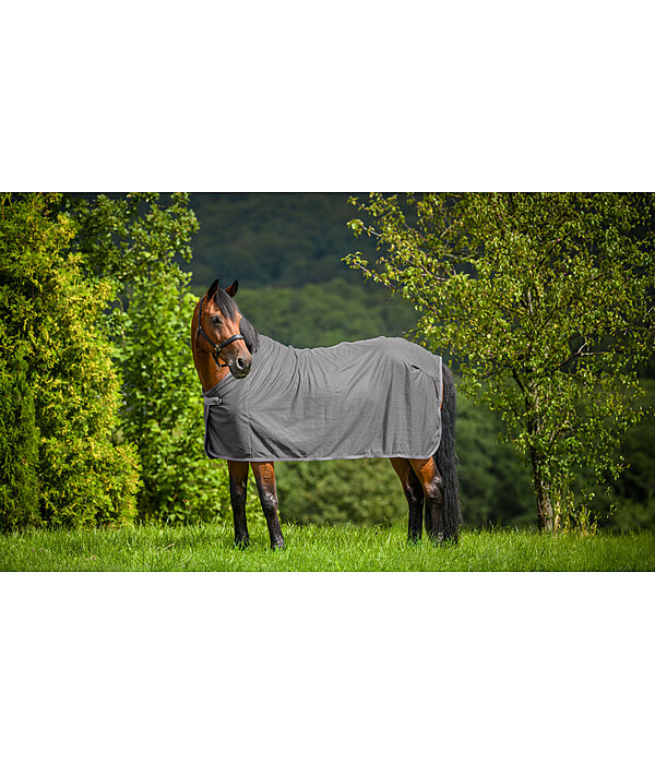 Fly Protection Throw Rug Crystal Fly