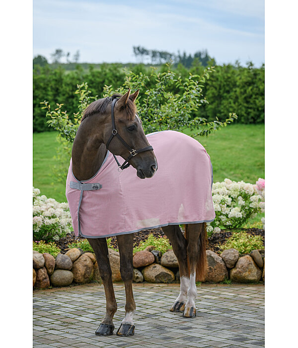 Fly Protection Throw Rug Crystal Fly