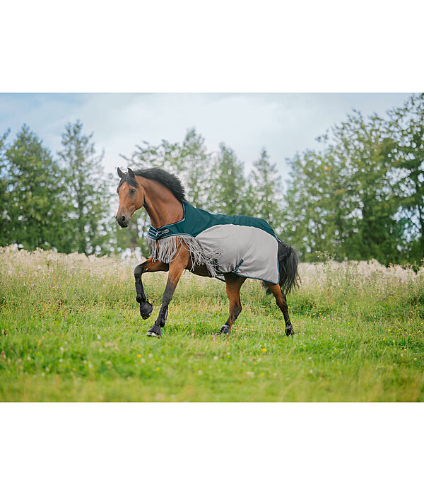 2in1 Fly Protection Combi-Walker Kasimo Fly
