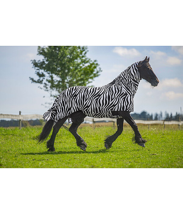 Zebra Sweet Itch Rug Gibson II