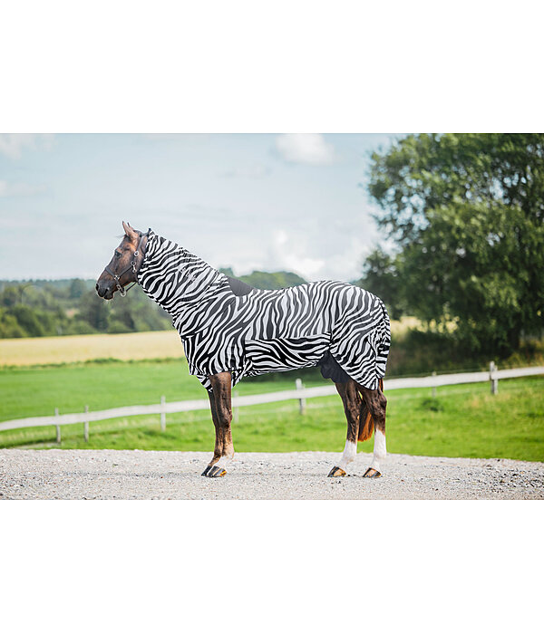 Zebra Sweet Itch Rug Gibson II