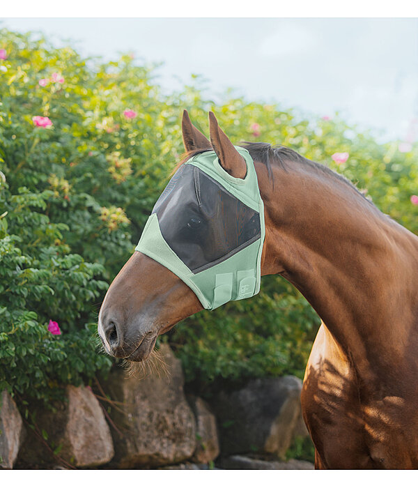 Fly Mask Basic Ear-Free