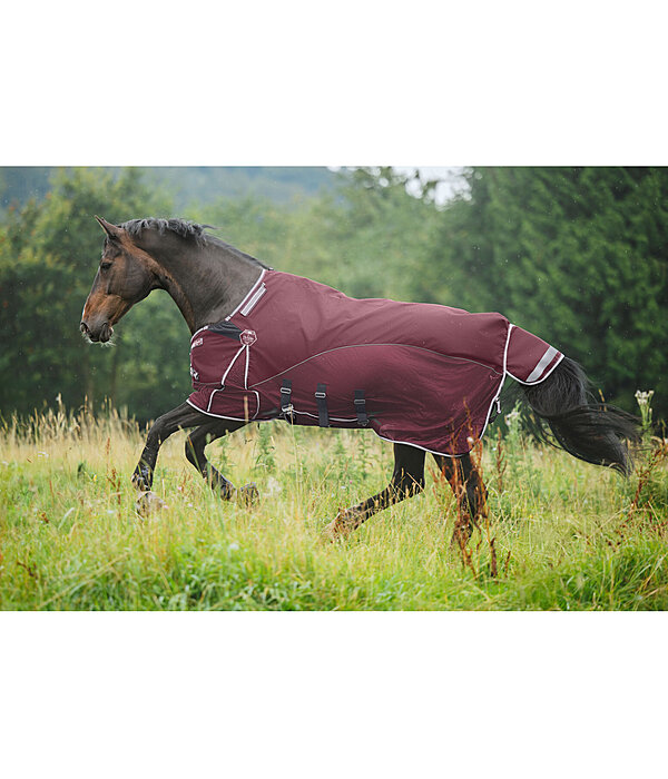 All-Weather Fly Rug Perfect Fit