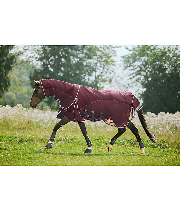 All-Weather Fly Rug Perfect Fit