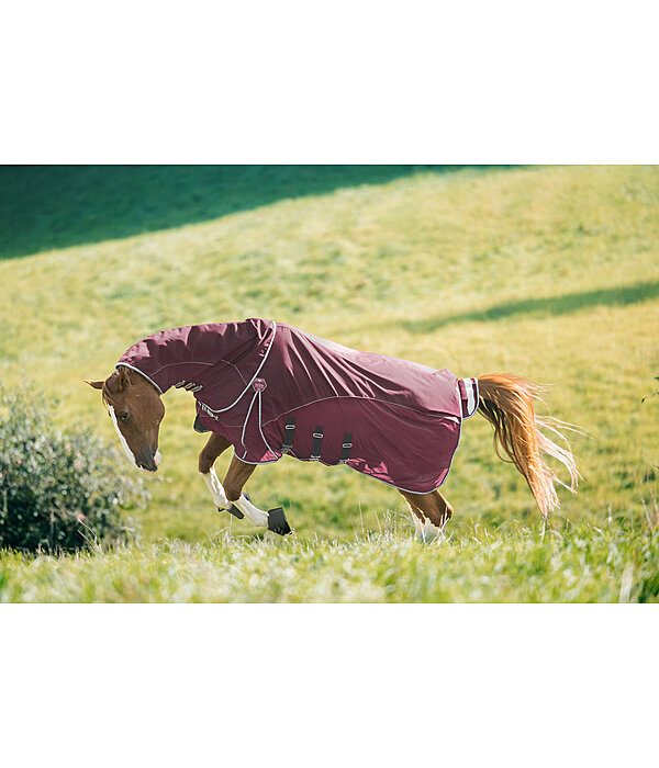 All-Weather Fly Rug Perfect Fit