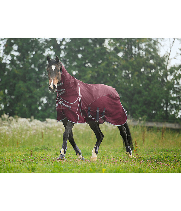 All-Weather Fly Rug Perfect Fit