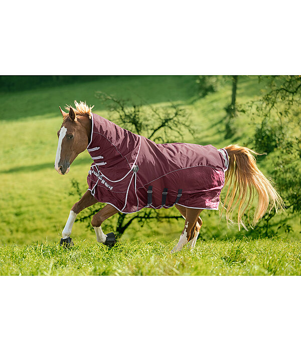 All-Weather Fly Rug Perfect Fit