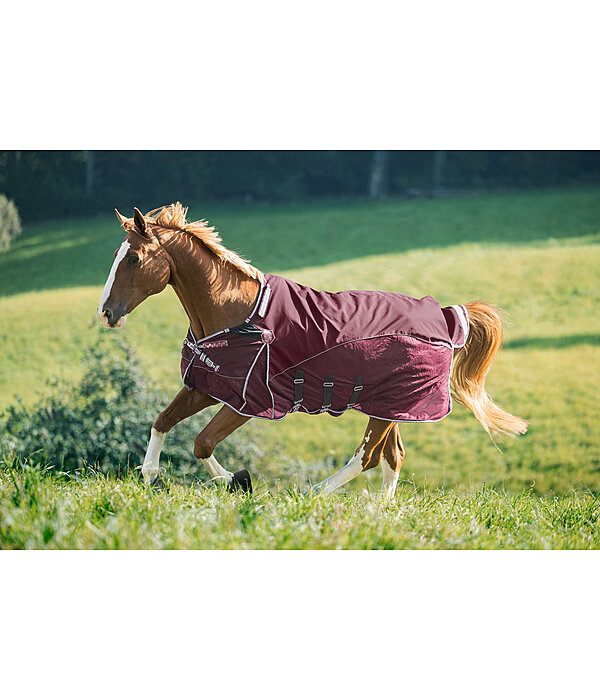 All-Weather Fly Rug Perfect Fit