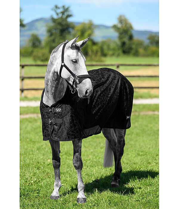 Fly Rug Collection Signature III