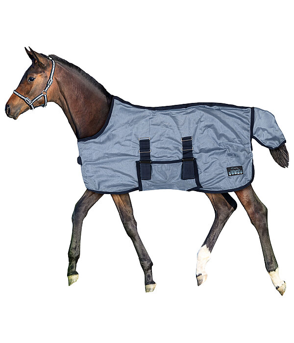 Foal and Mini Shetland Pony Fly Rug Kubi Fly