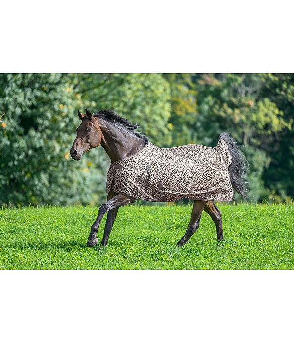 Fly Rug Leo