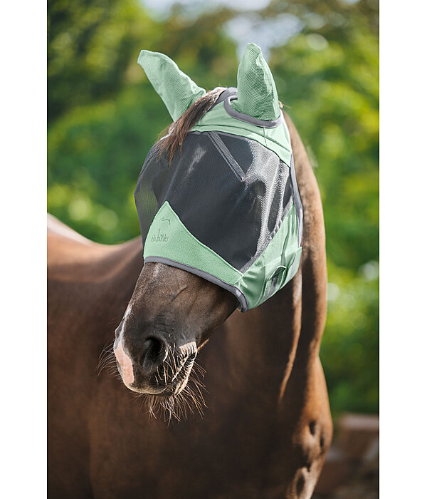 Fly Mask Basic Pro