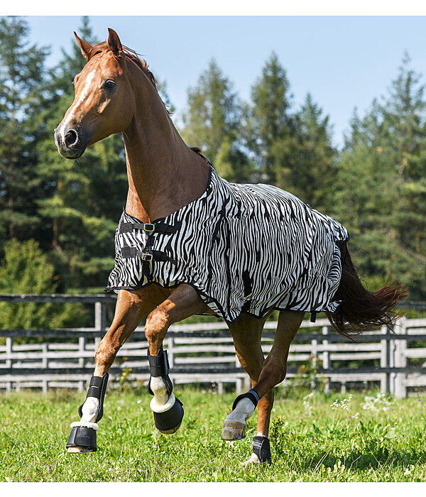 Zebra Fly Rug