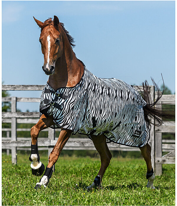 Zebra Fly Rug