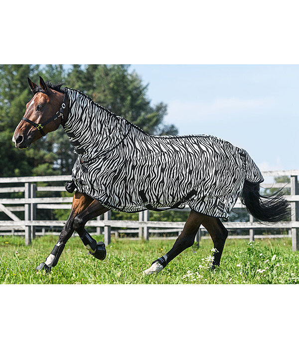 Zebra Fly Rug Combo