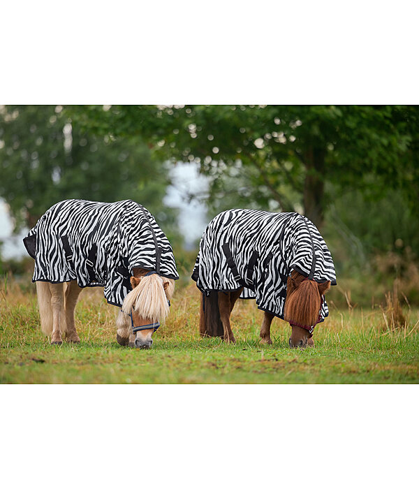 Zebra Fly Rug Combo