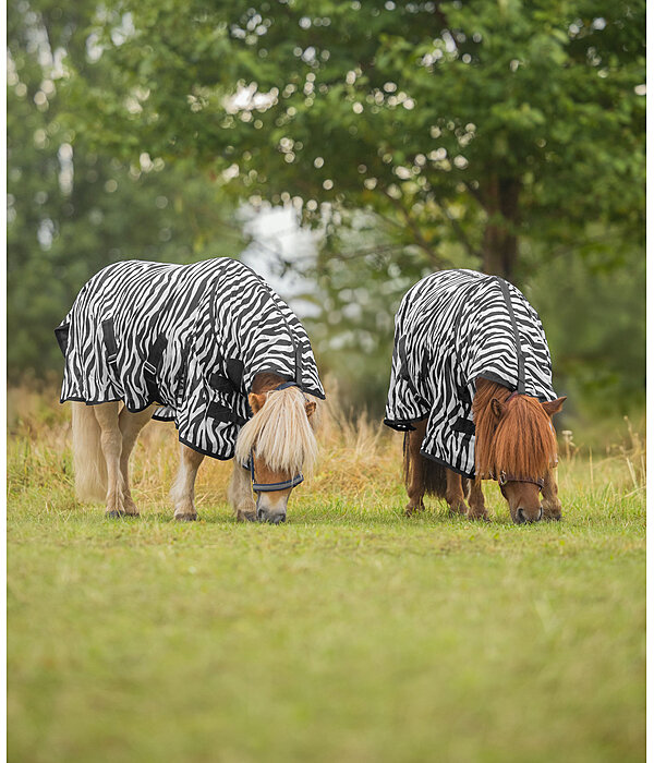 Zebra Fly Rug Combo