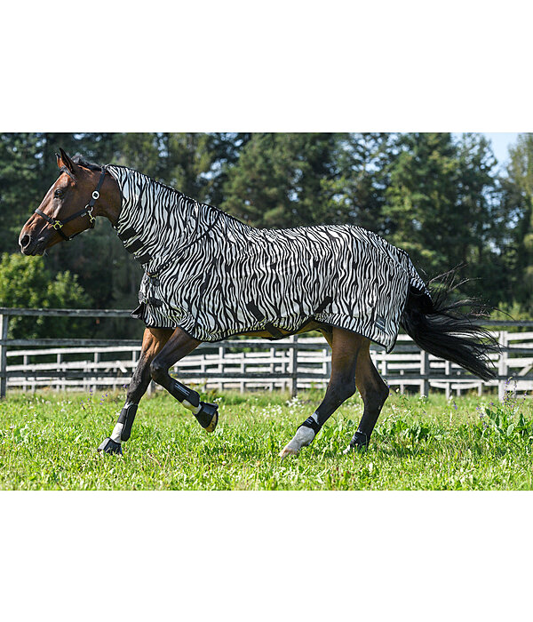 Zebra Fly Rug Combo