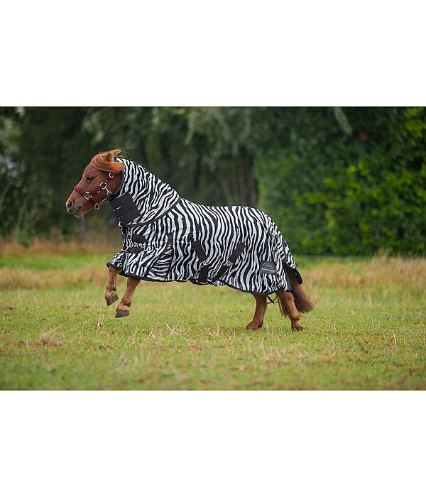 Zebra Fly Rug Combo