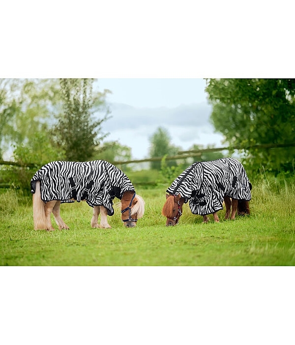 Zebra Fly Rug Combo