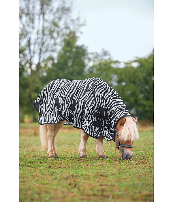 Zebra Fly Rug Combo