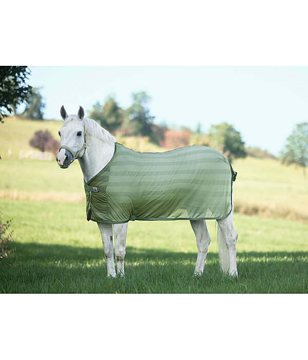 Fly Rug Economy Light