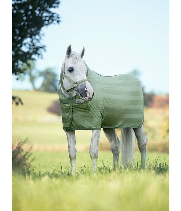 Fly Rug Economy Light