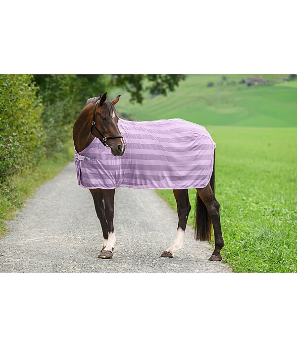 Fly Rug Economy Light