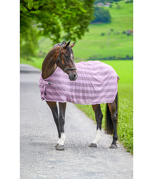 Fly Rug Economy Light