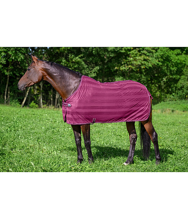 Fly Rug Economy Light