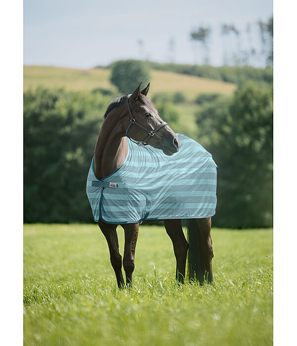 Fly Rug Economy Light